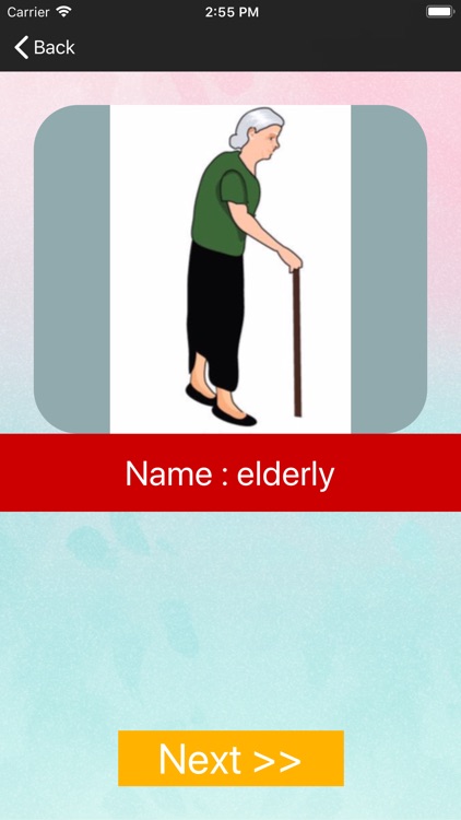 Describing People dictionary