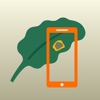 KWS Leaf Scanner