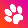 Game for cats! icon