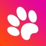 Get Game for cats! for iOS, iPhone, iPad Aso Report