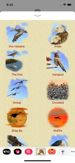 Game screenshot Birds for Words for iMessage mod apk