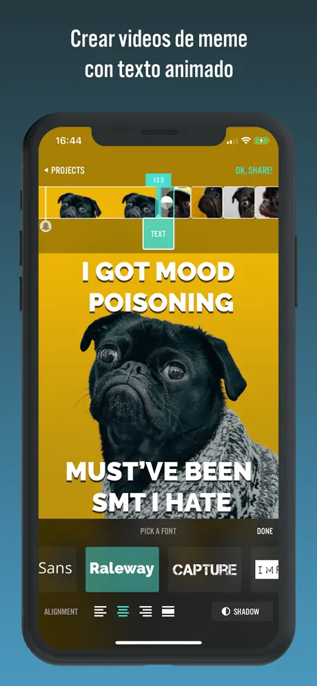 Video-rama Slowmo Vid Edit-ing