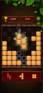 Block puzzle: Classic Bricks screenshot #2 for iPhone
