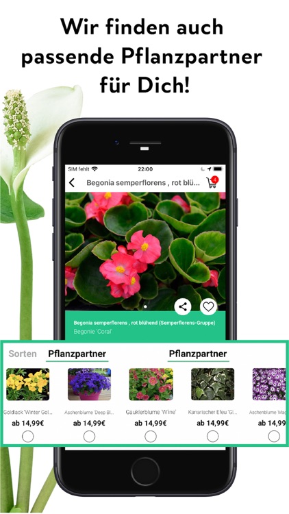 FlowerCam Gartenblumen kaufen screenshot-4