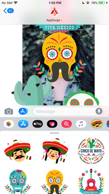 Cinco de Mayo Mexican Pride