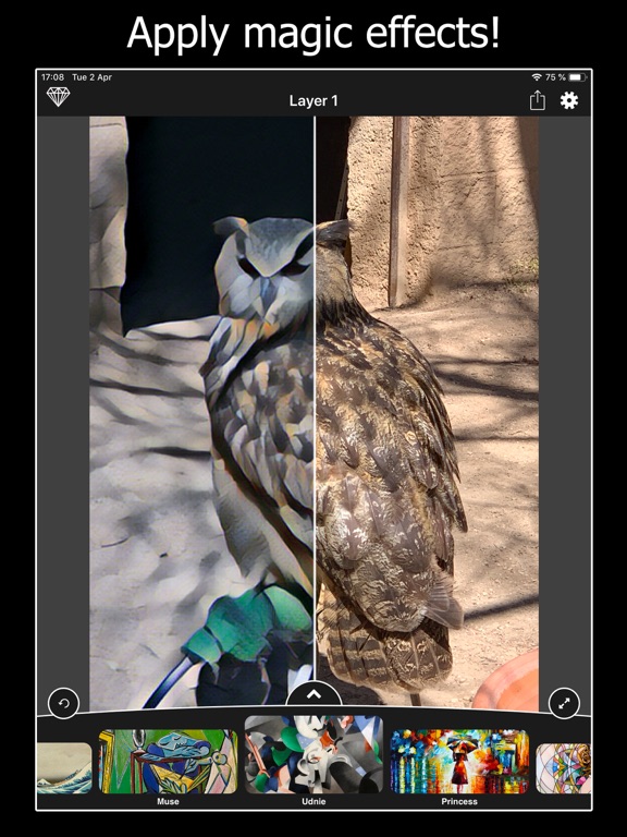 Screenshot #6 pour Photo Tweak Effects Editor