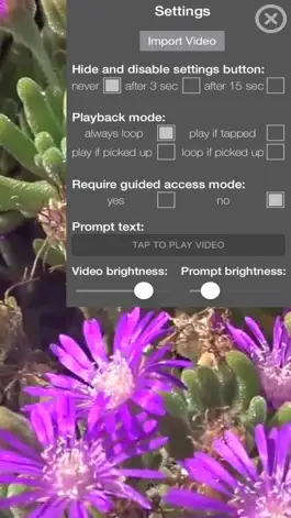 Game screenshot Museum Loop Video Player mod apk
