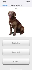 Learn French words with ST screenshot #4 for iPhone