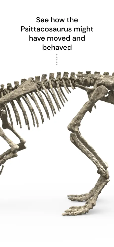 Famous Fossil