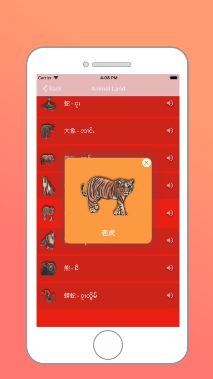 Tai Chinese Dictionary screenshot-4