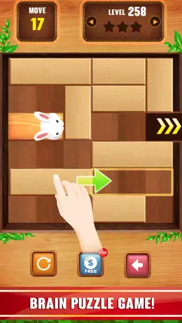 Game screenshot Unblock Wood mod apk