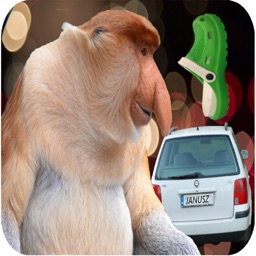 Kroksy - wyprawa Janusza