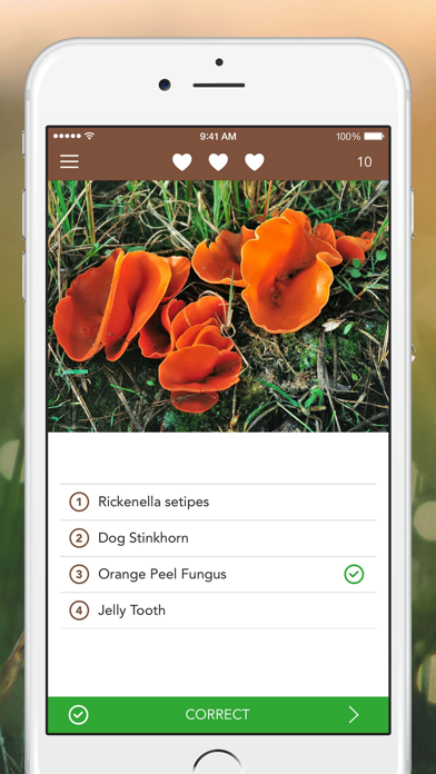 Mushrooms PRO - NATURE MOBILE - For Safe Enjoyment Screenshot 4