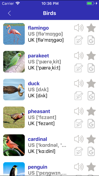Screenshot #2 pour UK and US English Vocabulary