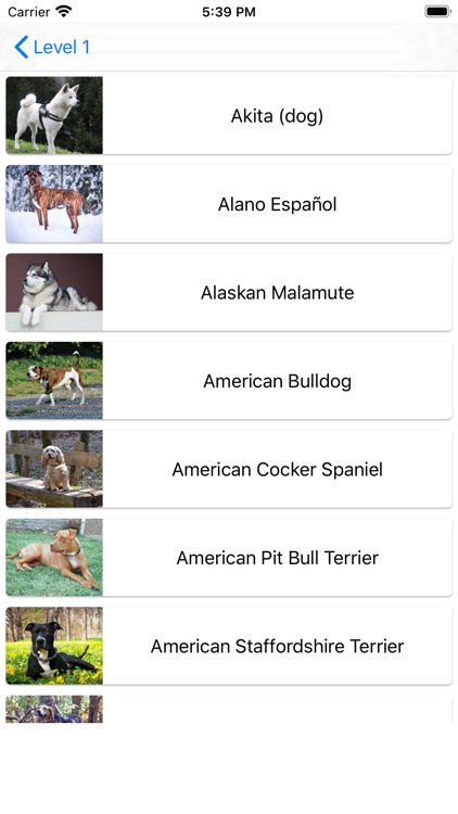 Dog Breeds Quiz - Dog Games screenshot-5