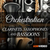 Woodwind Orchestration Course