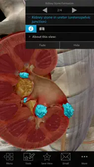 Physiology & Pathology iphone resimleri 4