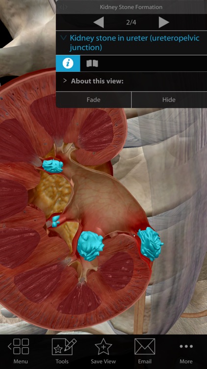 Physiology & Pathology screenshot-3