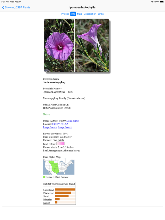 Screenshot #6 pour Kansas Wildflowers