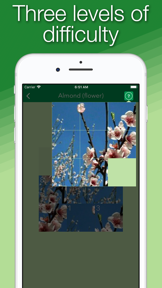 Language of Nature screenshot