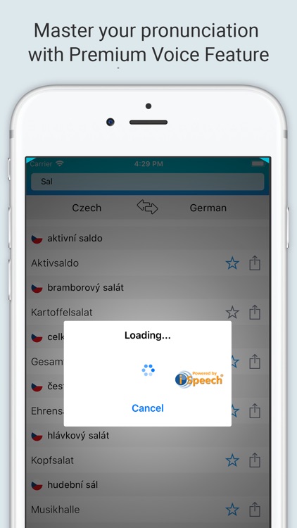 German Czech Dictionary + screenshot-3