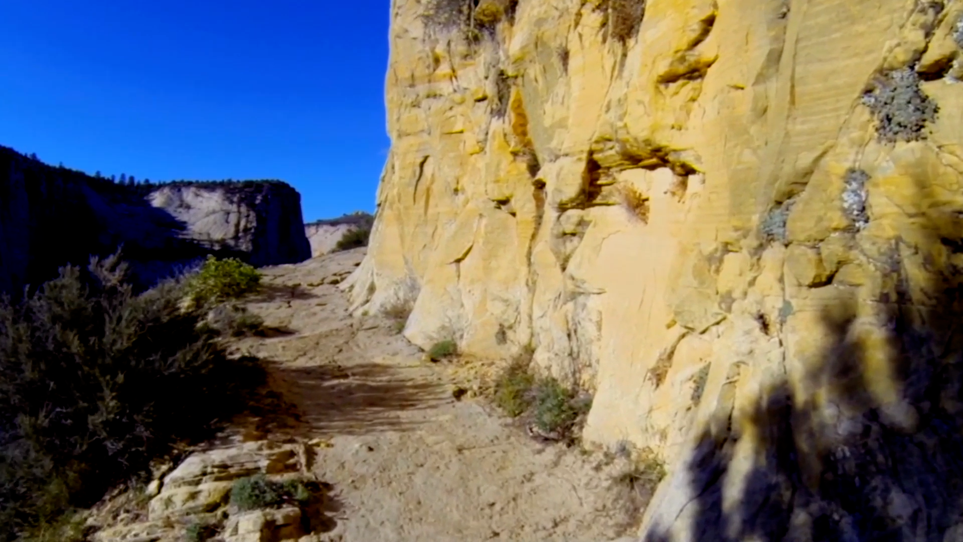 Happy Trails screenshot 7