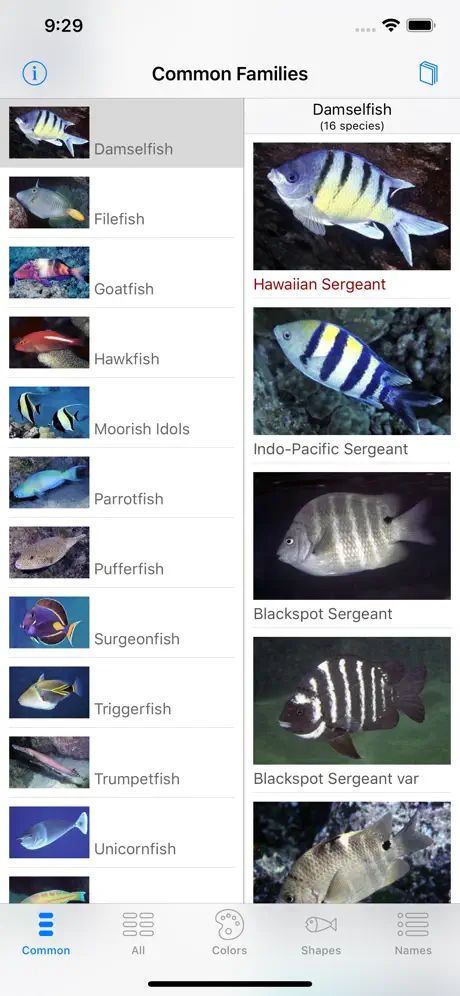 Scuba Fish Hawaii