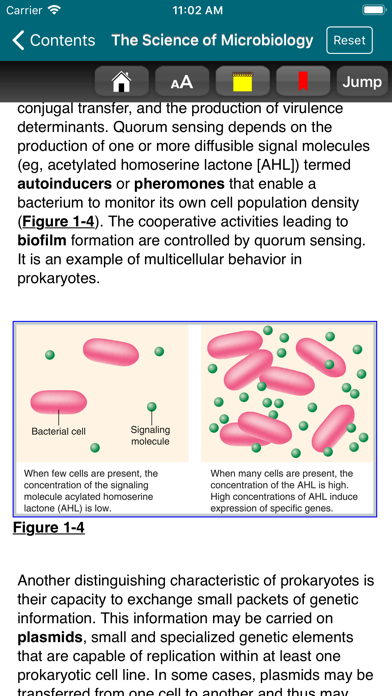 Medical Microbiology, 28/E Screenshot