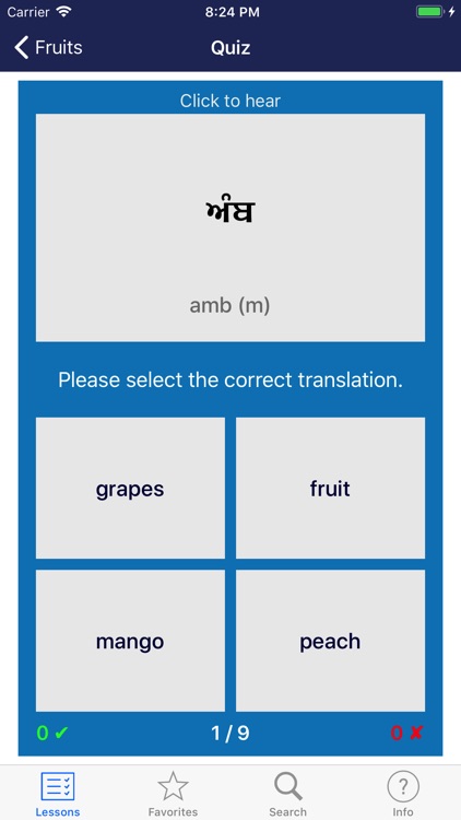 Learn Punjabi screenshot-3