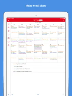 Paprika Recipe Manager 3 iPad image 4