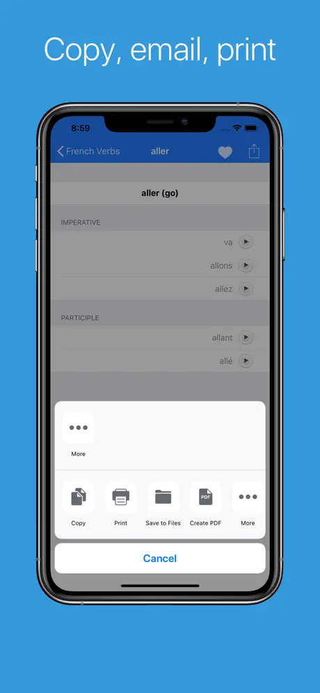 French Verb Conjugator Pro