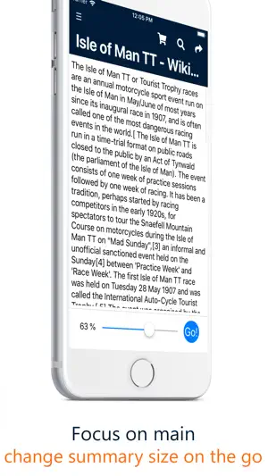 SemanTer - Text summarizer screenshot 4