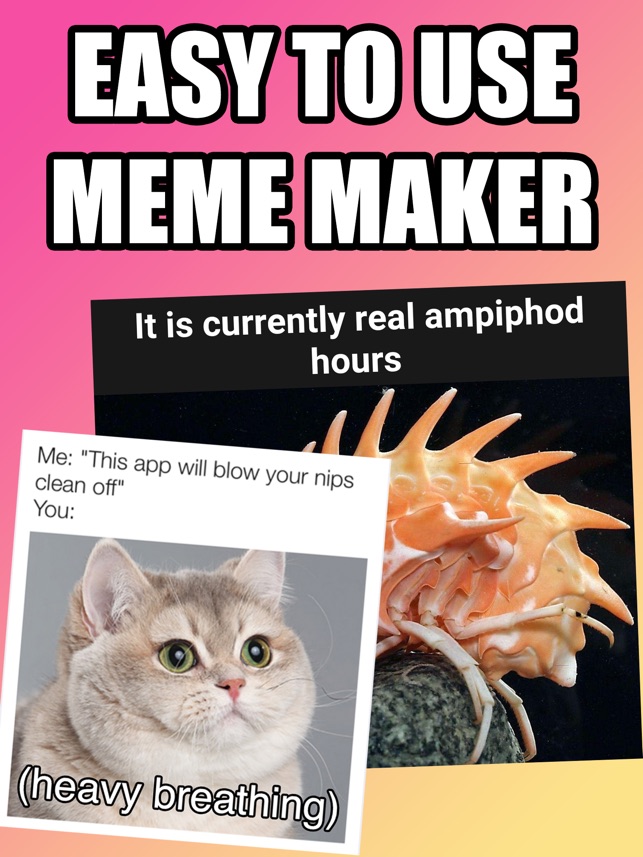 Dopameme Meme Maker Memes On The App Store