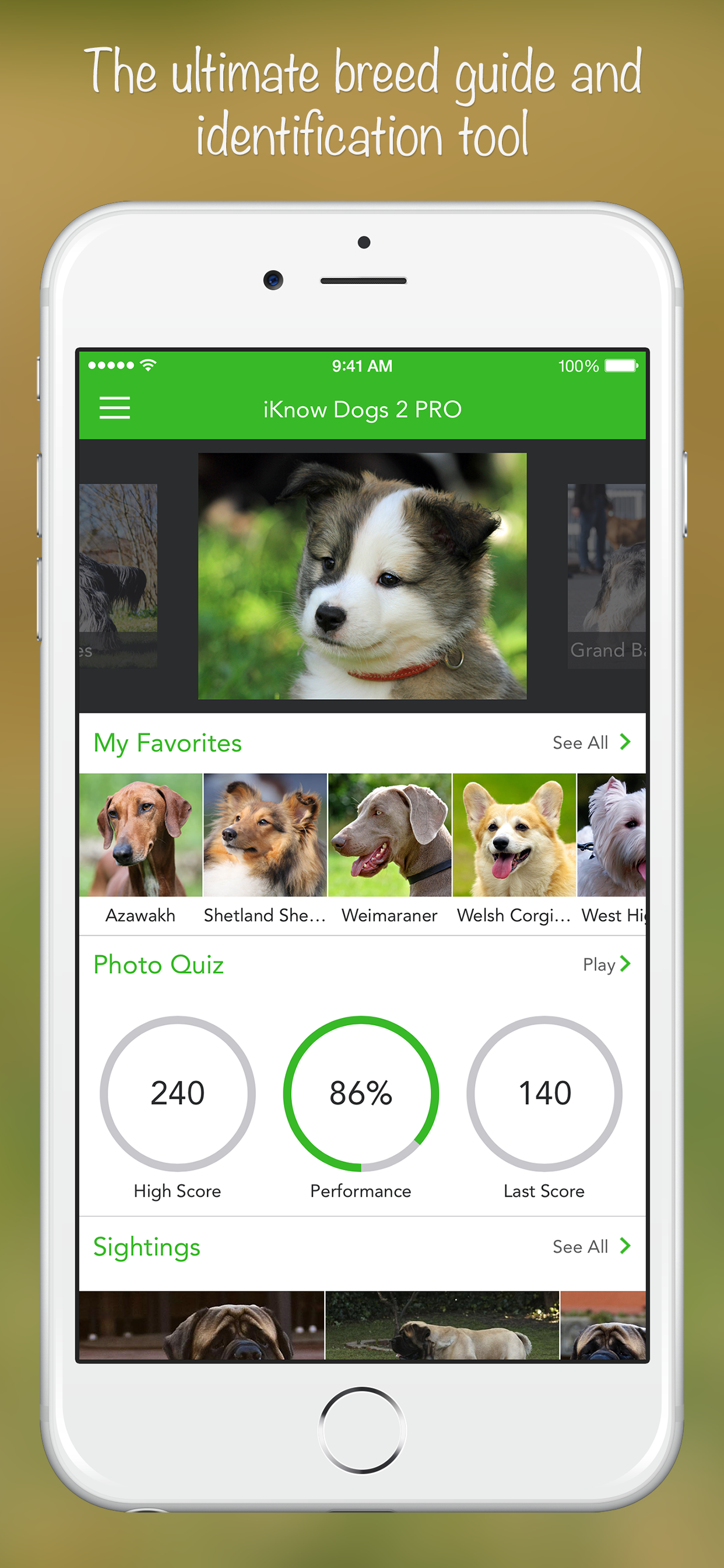 iKnow Dogs 2 PRO