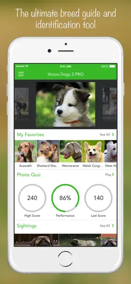 Game screenshot iKnow Dogs 2 PRO mod apk