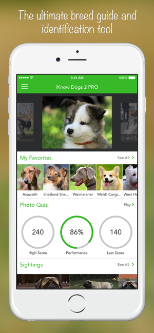 ‎Снимка на екрана на iKnow Dogs 2 PRO