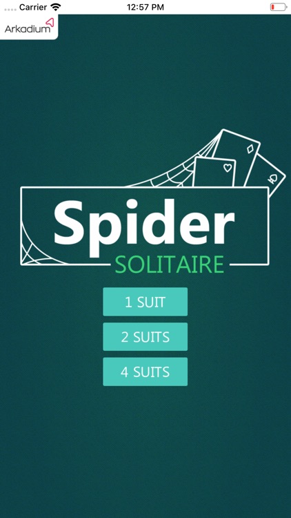 Spider Solitaire Fun Pro