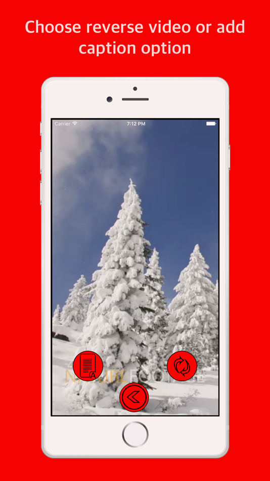 #5. Reverse video - Add caption (iOS) 由: Softnoesis