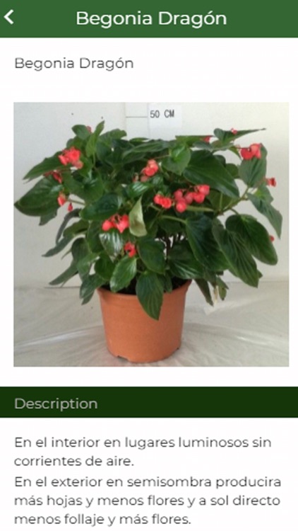 Viveros Navarro screenshot-5