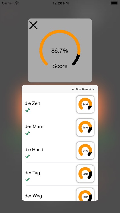 German Article Trainer screenshot-4
