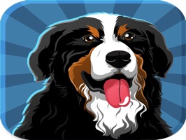 Bernese Mountain Dog Emoji