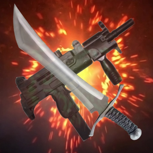 Gun And Sword icon