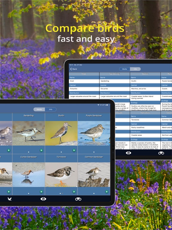 Bird Id - British Isles birds iPad screenshot 7 - Reference app