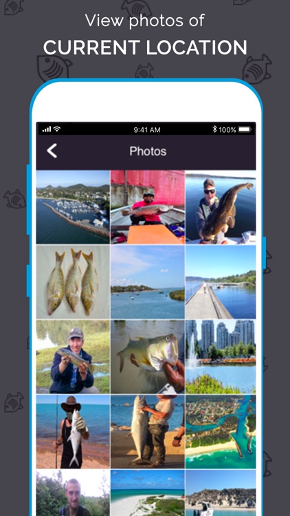 FishLocator