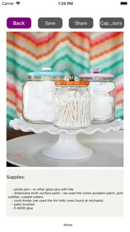 Game screenshot DIY Recycle Crafts Ideas hack