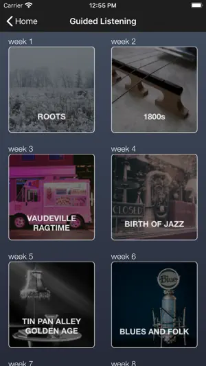 American Popular Music screenshot 2