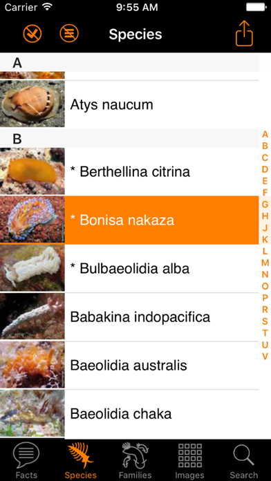 How to cancel & delete Nudibranch ID IndianOcn RedSea from iphone & ipad 3