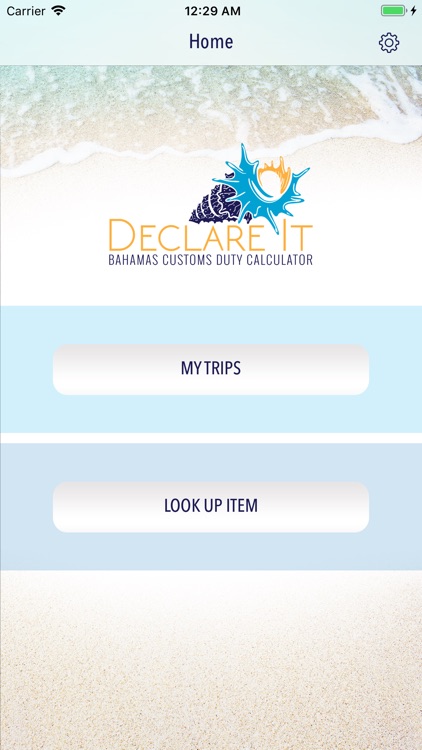 DeclareIt Bahamas