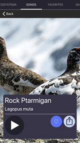 Bird Sounds and Bird Calls screenshot