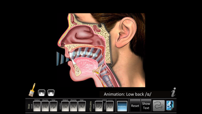 Screenshot #3 pour Affricates Stops